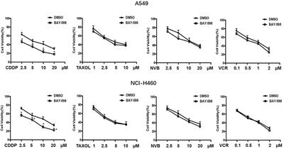 Inhibition of SMYD2 Sensitized Cisplatin to Resistant Cells in NSCLC Through Activating p53 Pathway